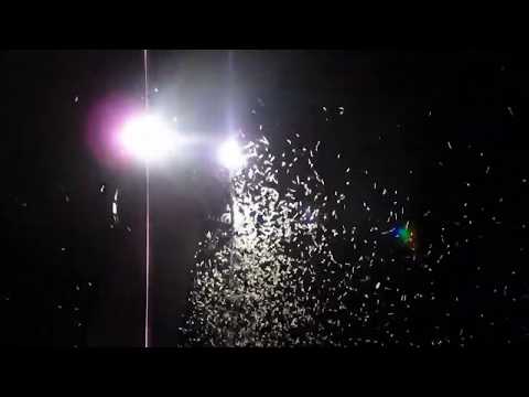 Paf83 - Мотыль на набережной 1 августа 2014г