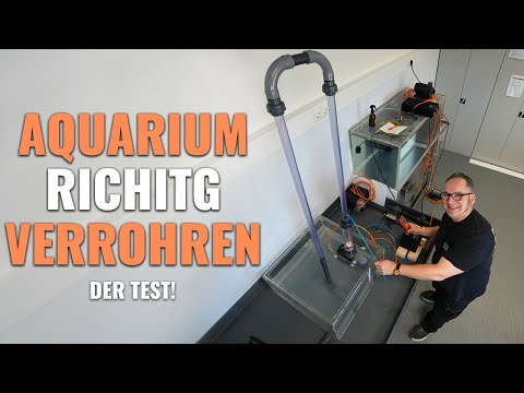 The right piping for your aquarium! - We test it for you!