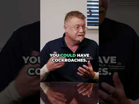 TIPS for Preventing Cockroaches #shorts