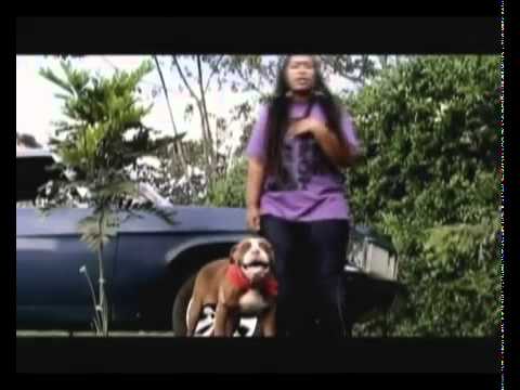 Nazizi's -  Hey Boy (brand new video)