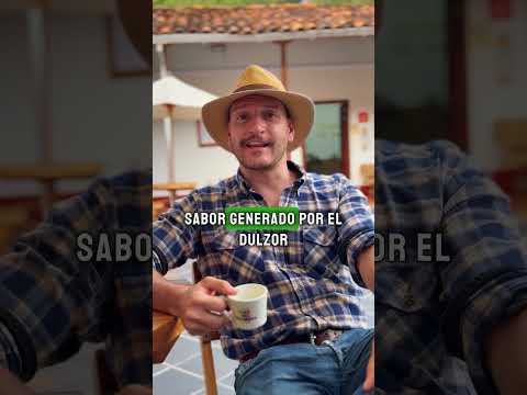 ¿A qué sabe Salgar? - Café don Martín