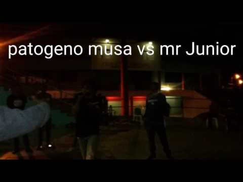 MR JUNIOR VS PATOGENO MUSA