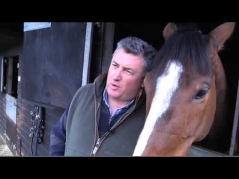 Paul Nicholls training for 2011 Cheltenham Festival