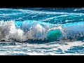 Beautiful Relaxing Music With Ocean Waves And Seagulls Soothing Piano Sleep Music Stress Relief