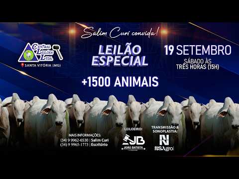 🌾  Leilão Especial  - Central Leilões - Santa Vitória (MG) - 19 de SETEMBRO
