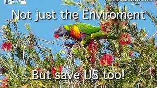 What are the Benefits of Green Construction