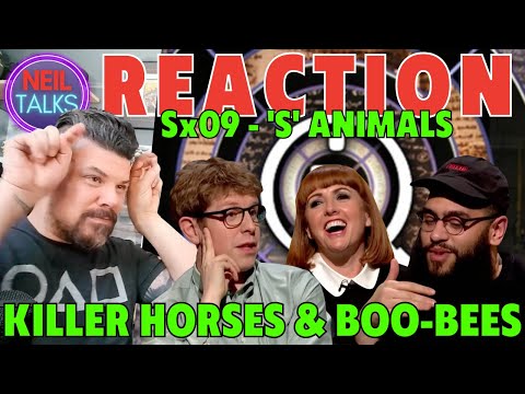 QI REACTION Series S Episode 9 XL - 'S' Animals (Josh Widdicombe, Jamali Maddix and Cally Beaton)
