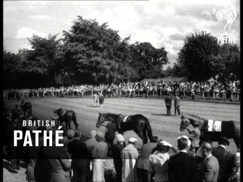 Variety Club Go Racing (1960)