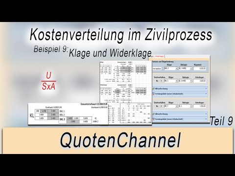 Klage und Widerklage