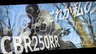 【バイク】乗っているバイクを紹介していくぜ！【HONDA CBR250RR】