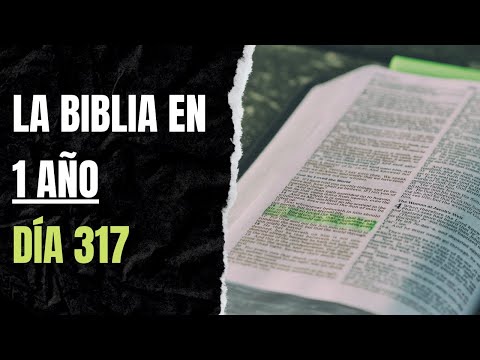 LA BIBLIA EN 1 AÑO - DÍA 317