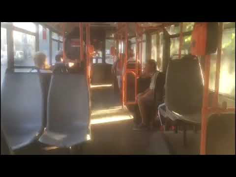 Ikarus 415T 5285(96)