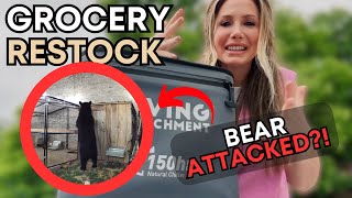 BEAR ATTACK IN OUR BACKYARD + MINI GROCERY HAUL