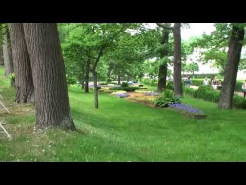 San Pioetroburgo Il giardino di Peterhof inserito tra i patrimoni dell'umanità dell'UNESCO.