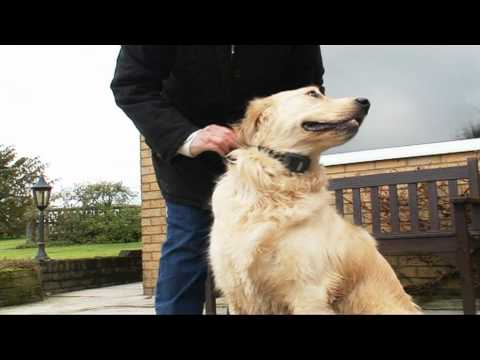 PetSafe® SBC-10 Spray Bark Control