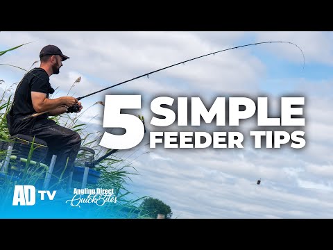 Improve Your Feeder Fishing With These Top 5 Tips - Match fishing Quickbite