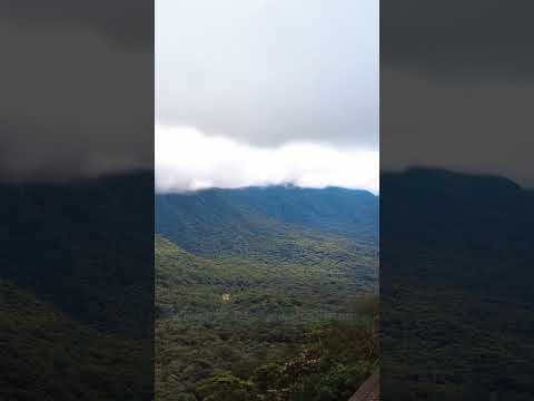 O passeio de trem mais bonito do Brasil 🚂🌿 #Shorts