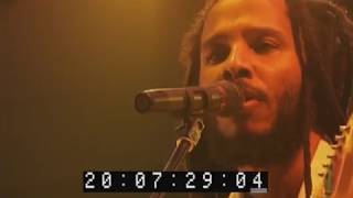 Wild And Free - Ziggy Marley live at Summer Sonic Festival, Tokyo  (2011)