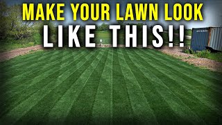 Fix Your Damaged Lawn With Overseeding