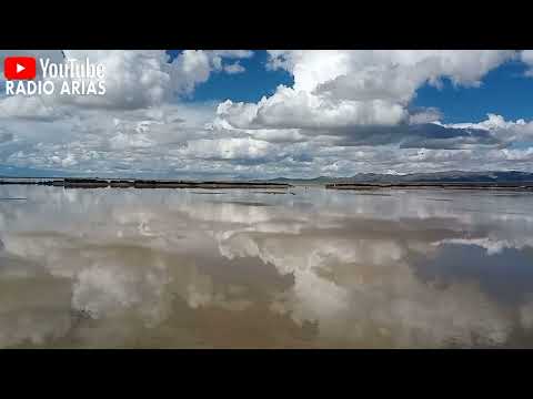 CERRO LEÓN RINCONADA JUJUY ARGENTINA CUMBIA JUJEÑA Radio Arias 2024