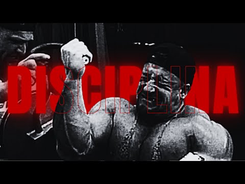 Você não tem outra Opção.