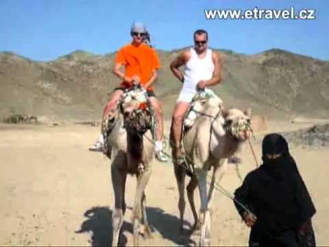 Projížďka na velbloudovi - Hurghada, Egypt