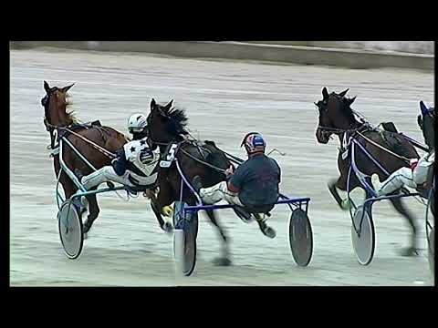 Napoli Trotto 28/11/2021 - 4ª corsa