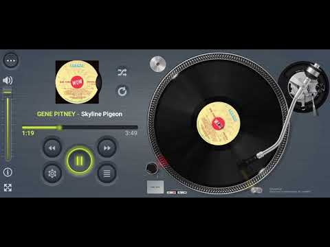 GENE PITNEY Skyline Pigeon