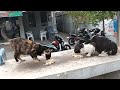 Setiap Kali Mau Makan Selalu Minta Pijat Wiwitlesdiati