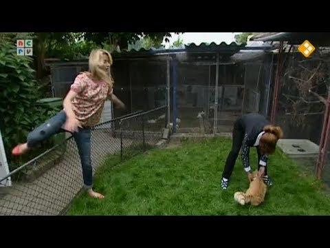 De Rijdende Rechter Wordt Vervolgd 11-06-2013 - De klaagmuur & Paniek in de polder