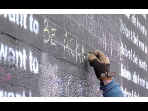 Felix Lau- MCP Singapore 16.17 Application-Big Idea Challenge- The Youth Leadership Movement