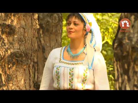 Doina Arseni - Asta-i fata noastră dragă