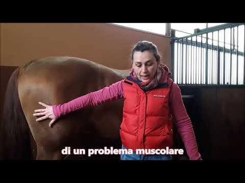 Infortunio al ginocchio quando il ginocchio come scegliere Grave dolore alla schiena che bere