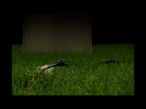 Rootshaper vs. Brain on Trouble - A Robotróger (darkpsy, killer)