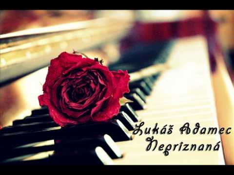 Lukáš Adamec - Nepriznaná