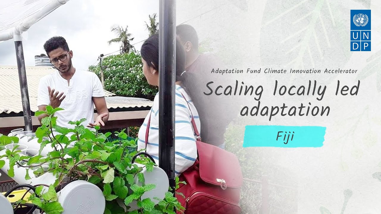 Food security with home hydroponics in informal settlements: Smart Farms Fiji Foundation