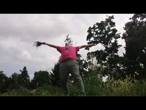 Kologo - Alostmen Ft  Wanlov the Kubolor