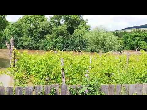 inundatii Hamcearca 2