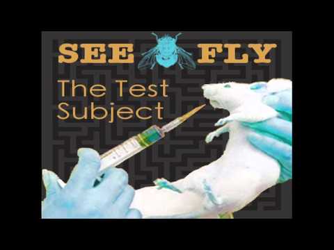 See.Fly - I Don't Wanna Go