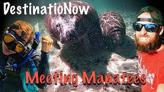 Swimming with Manatees: Truck Camper Living | DestinatioNow S4 Ep39