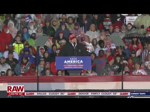 Trump back on Twitter? Elon Musk plans to reverse ban, calls it morally wrong | LiveNOW from FOX