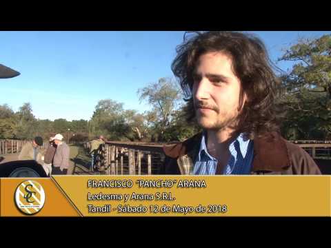 12-05-18 Nota Francisco Arana - Ledesma y Arana S.R.L. - Ledesma y Arana S.R.L. - Tandil
