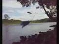 Wampum Prayer - Tori Amos