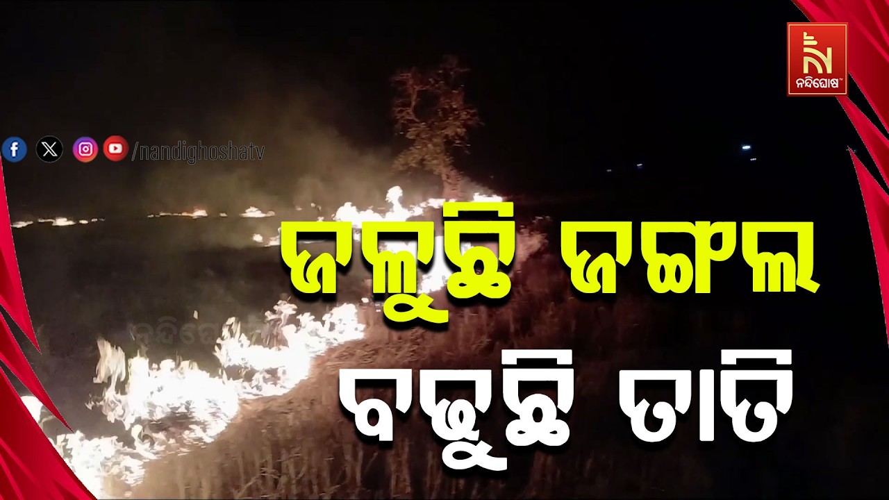 ବୌଦ୍ଧ ମନମୁଣ୍ଡା ଓ କଣ୍ଟାମାଳ ରେଞ୍ଜରେ ହୁତୁହୁତୁ ହୋଇ ଜଳୁଛ?