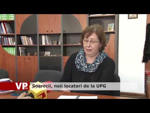 Șoarecii, noii locatari de la UPG