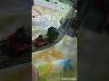 Thomas Y Sus Amigos Nuevas Aventuras En Sodor Temporada 3 Episodio 1