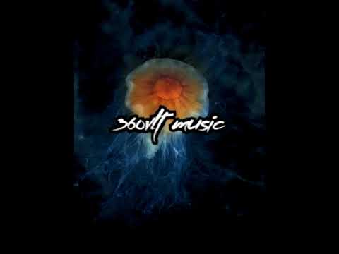 NarizIL, Leibo & Zarhi   Illusion