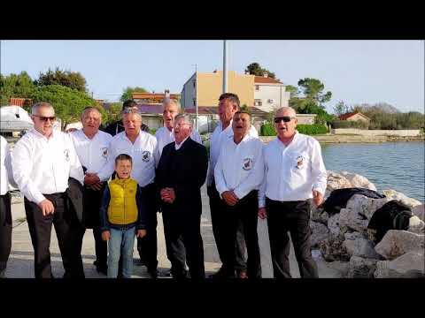 Vukšićki Bećari & Filip Bralić ( 1080P HD )