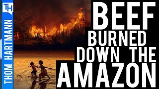 How Beef Burned Down the Amazon