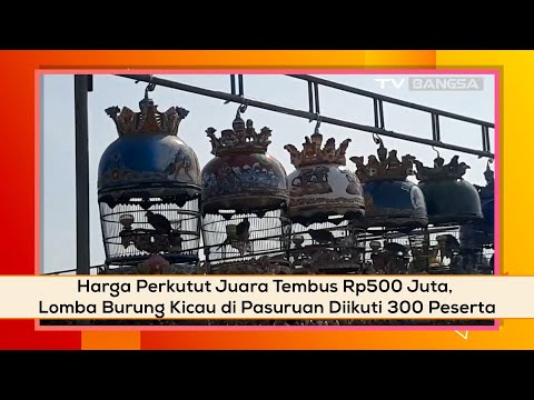 Harga Perkutut Juara Tembus Rp500 Juta, Lomba Burung Kicau di Pasuruan Diikuti 300 Peserta 